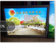 &#108;&#101;&#121;&#117;&#20048;&#40060;